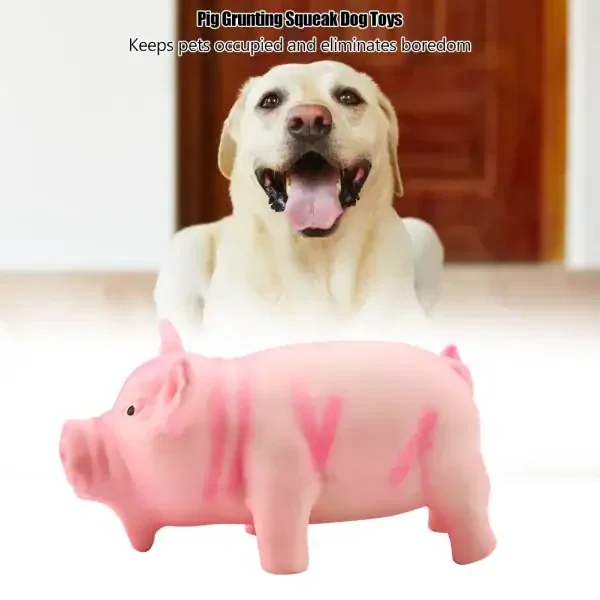 Squeaky Pig Dog Toy - Image 6
