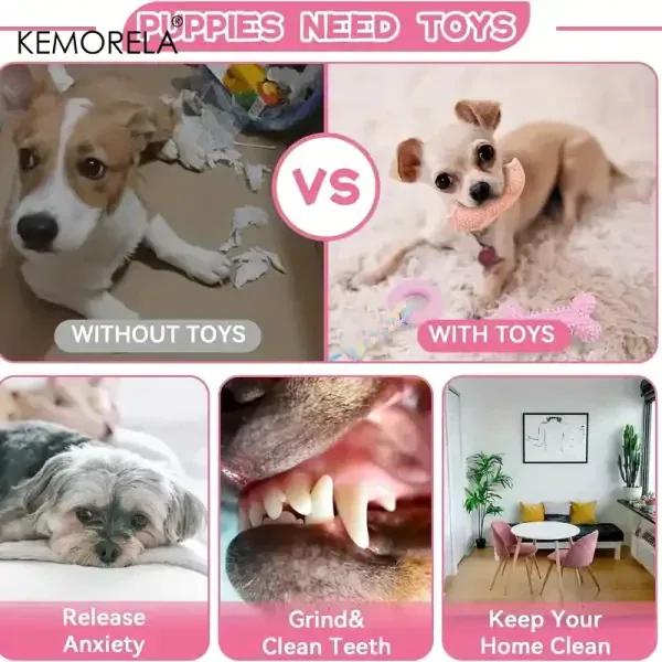 6 PCS Dog Chew Toy - Image 3