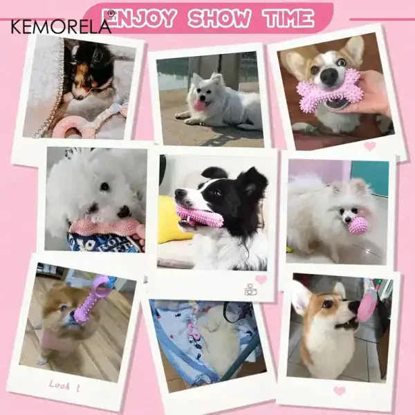 6 PCS Dog Chew Toy - Image 4