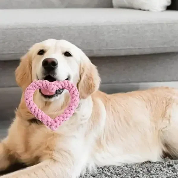 Heart Rope Chew Dog Toy - Image 3
