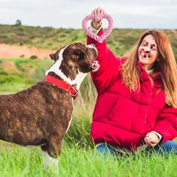Heart Rope Chew Dog Toy - Image 2