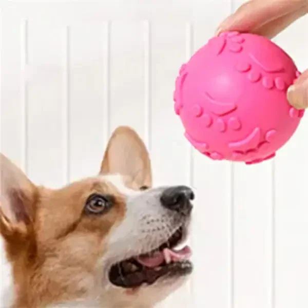 Textured Squeaky Dog Ball - Image 2