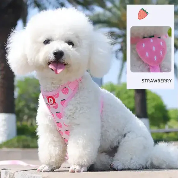 Fruit Print Pet Harness & Leash Set - Image 2