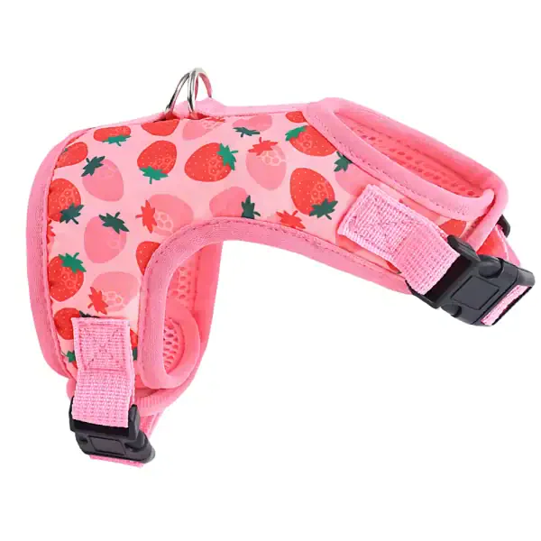 Fruit Print Cat Harness & Leash Set - Image 5