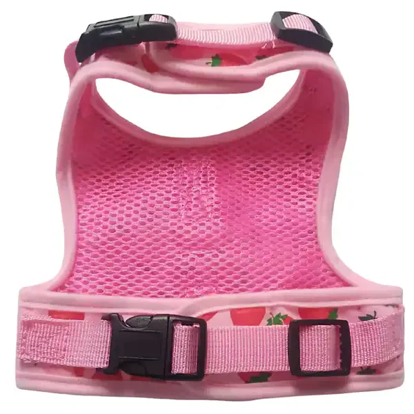 Fruit Print Cat Harness & Leash Set - Image 4