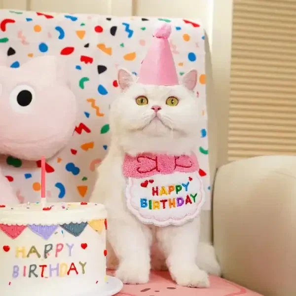 Pet Birthday Hat & Bandana Set - Image 3