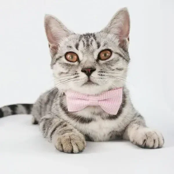 Bow Tie Pet Collar - Image 3