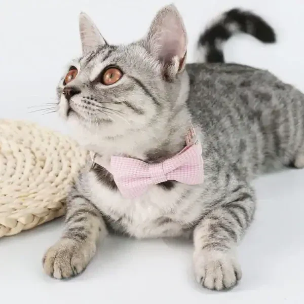 Bow Tie Pet Collar - Image 2