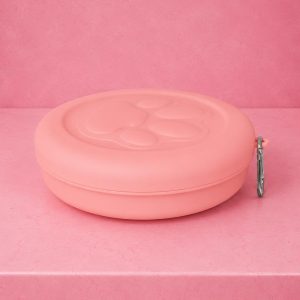 2-in-1 Travel Pet Food Bowl