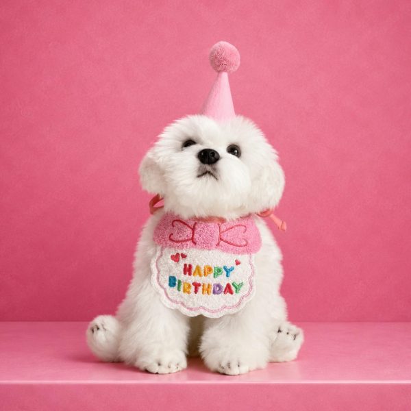 Pet Birthday Hat & Bandana Set