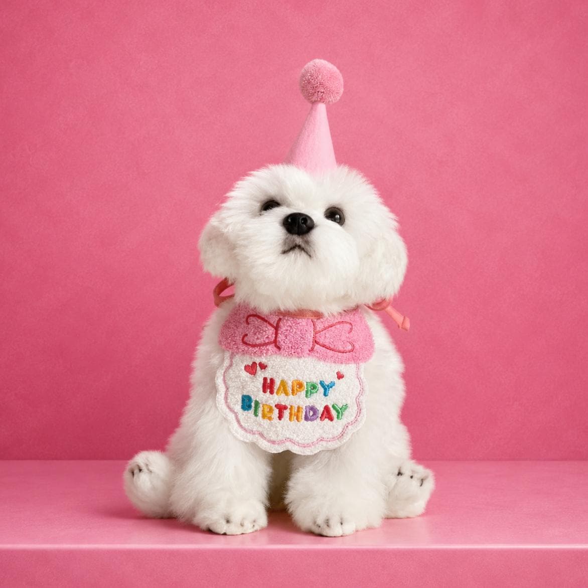 Pet Birthday Hat & Bandana Set