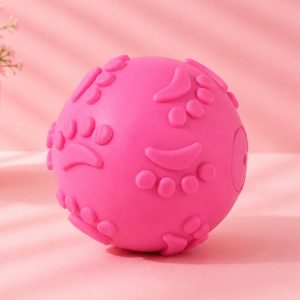 Textured Squeaky Dog Ball
